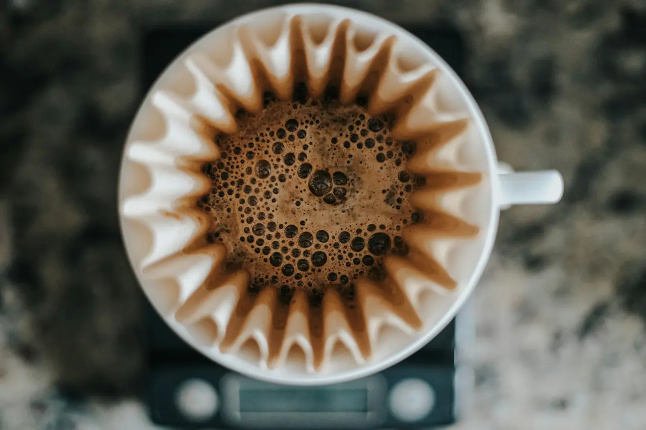 Coffee grounds blooming in a paper filter, from above